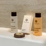 Luxury Pantheon Rzym