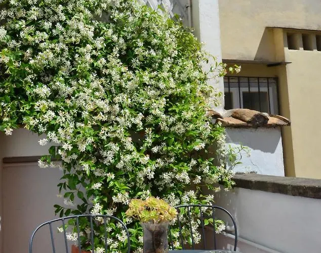 Luxury Pantheon * ローマ