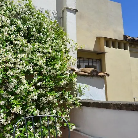 Luxury Pantheon Apartment Rom