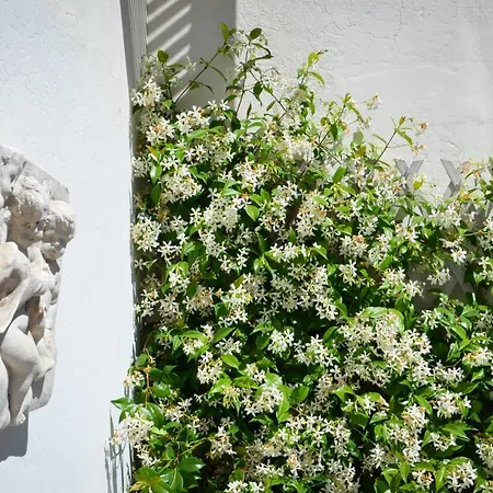 Apartment Luxury Pantheon *