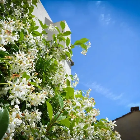 Luxury Pantheon Apartamento *